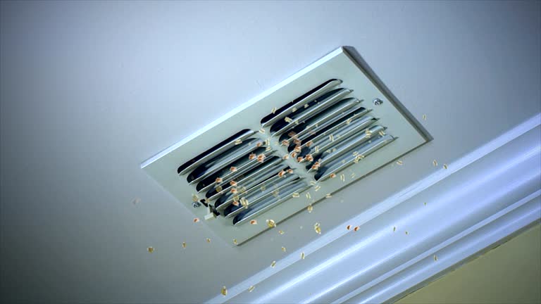 Best Air Duct Cleaning Company Near Me  in Prestbury, IL