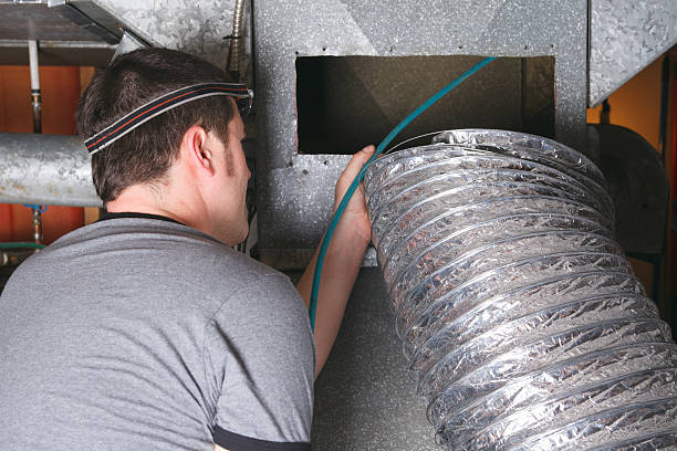 Air Duct Mold Removal in IL